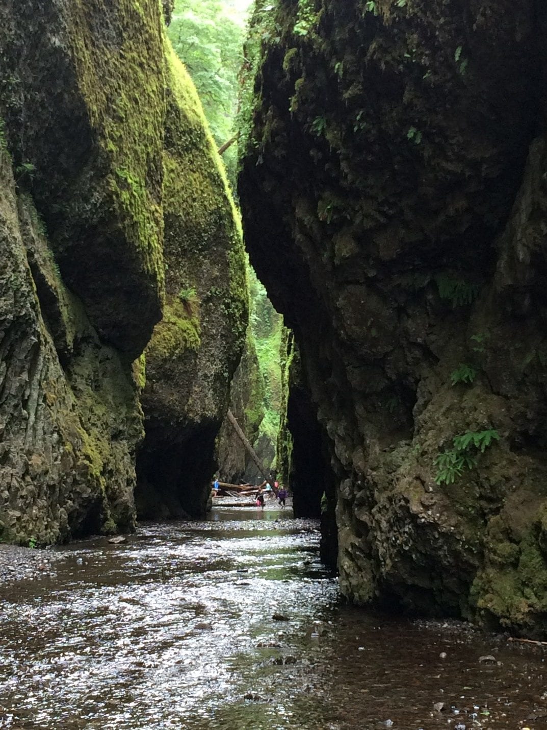 How to Spend 3 Days Trekking Columbia River Gorge Hikes - Krystal [[Clear]]  Trekking