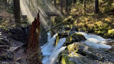 How to Spend 3 Days in Olympic National Park Itinerary