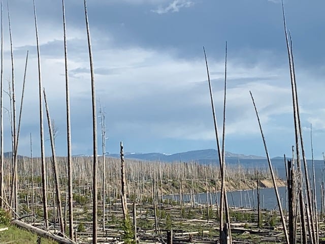 Don't start fires when planning a trip to yellowstone