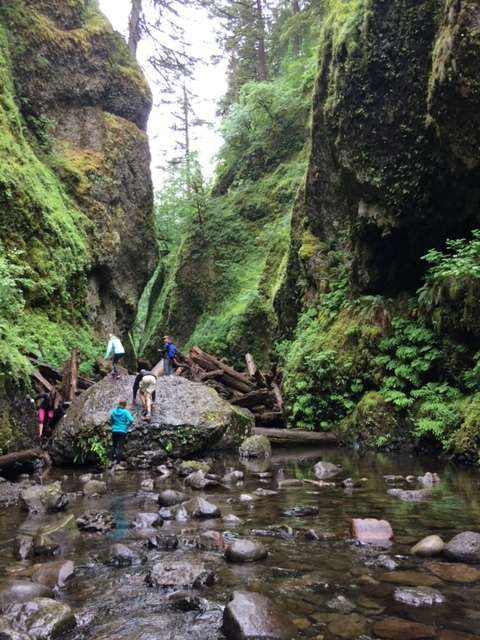Climbing over a log jam in Oneonta Gorge on a hiking vacation