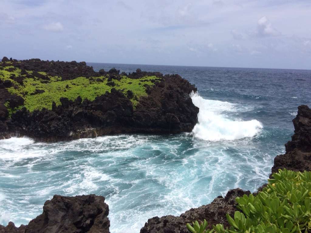 A Picture-Perfect Day on the Road to Hana - Krystal [[Clear]] Trekking