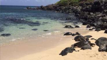 Fun-Filled and Relaxing Ways to Spend 6 Days in Maui