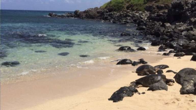 Fun-Filled and Relaxing Ways to Spend 6 Days in Maui