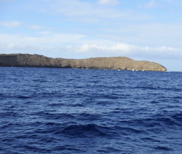 view of molokini crater from the catamaran