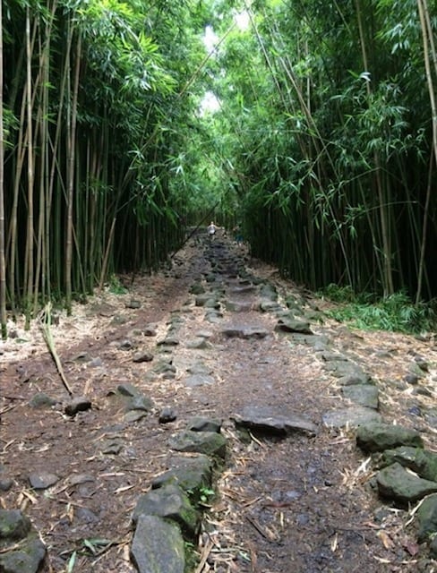 Walk through the bamboo forest on the Pipiwai Trail on the Road to Hana