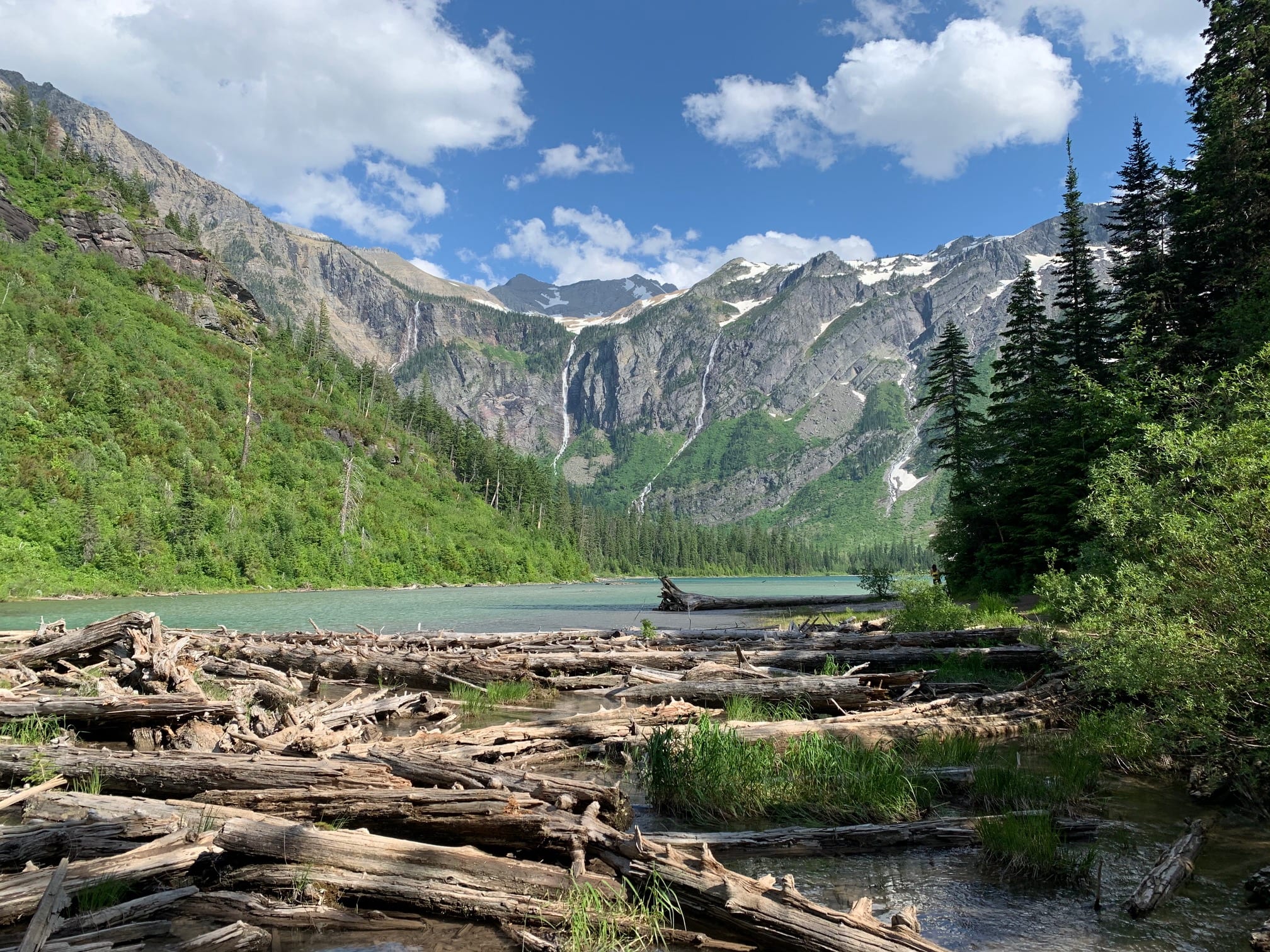 Avalanche Lake Trail The Best Hike In West Glacier Krystal Clear