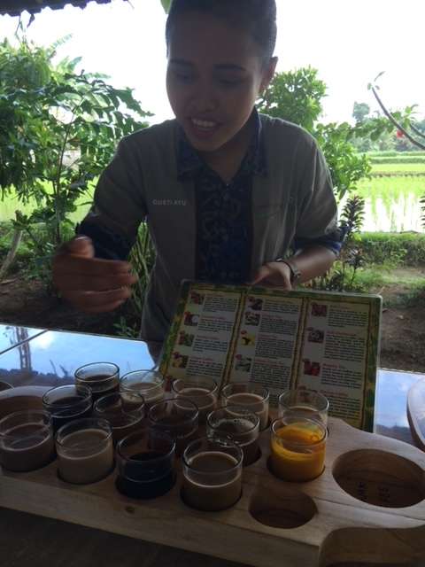 Flight of coffee in our 4 days in Ubud, Bali