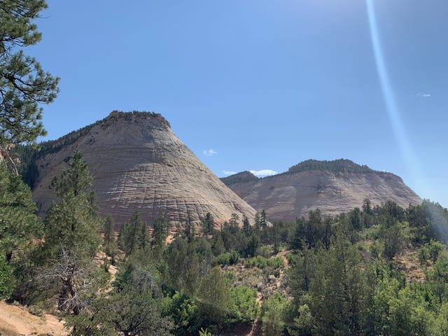 Checkerboard Mesa in Zion on our Utah road trip