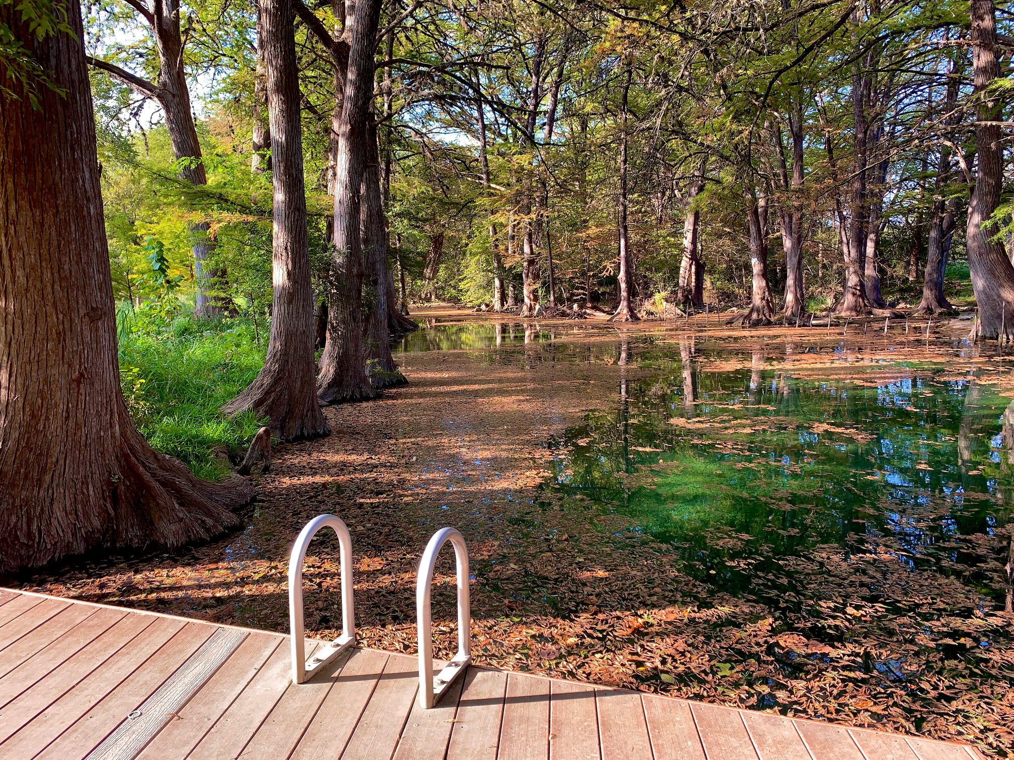 Everything You Need to Know About Our Wimberley Swimming Holes