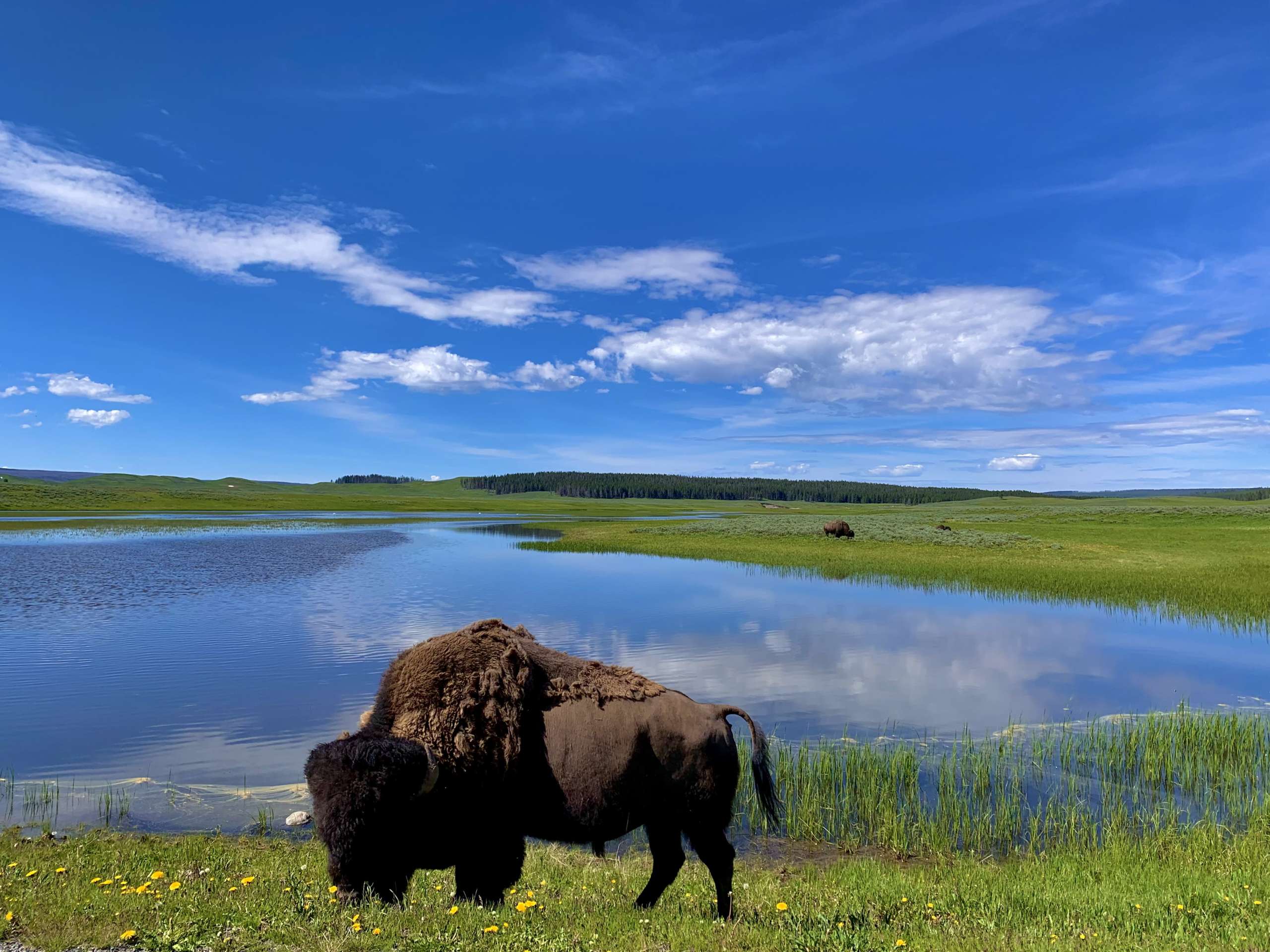 Things to Know When Planning a Trip to Yellowstone