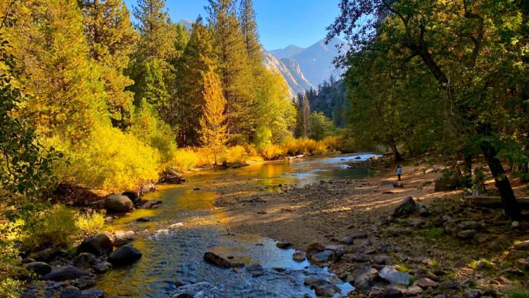 How to See the Highlights on a Kings Canyon and Sequoia National Park Day Trip