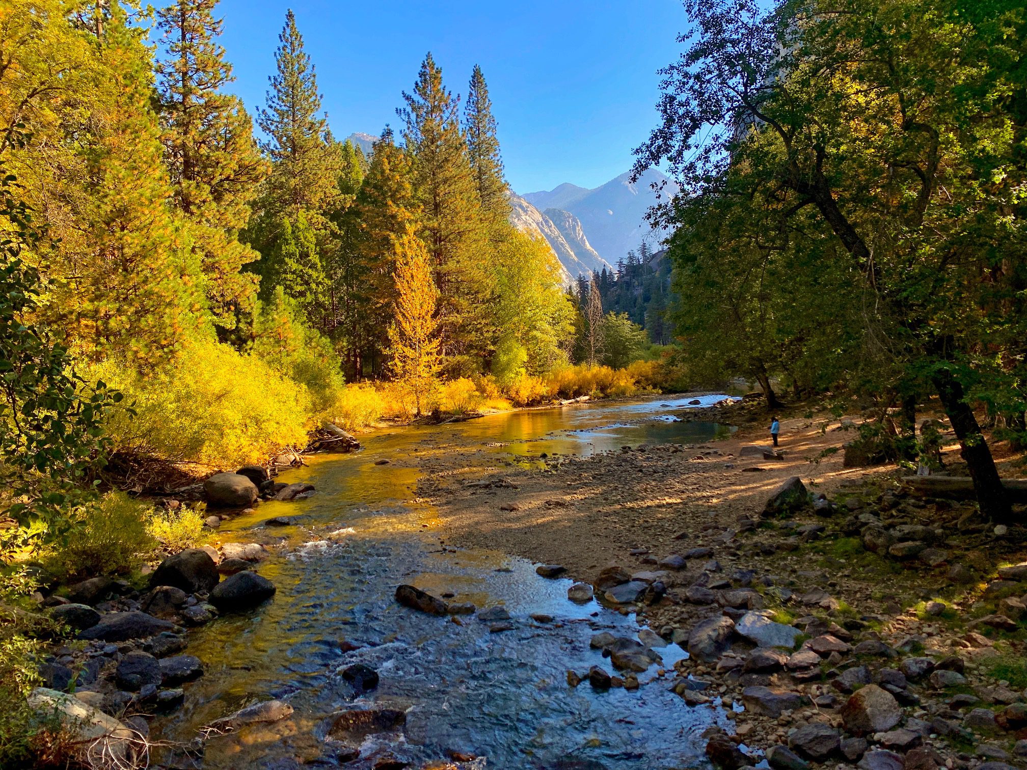 How to See the Highlights on a Kings Canyon and Sequoia National Park Day Trip