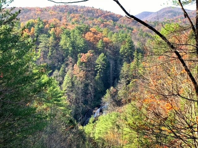 Duke's Creek hiking in Northern Georgia