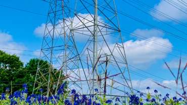 Why Spring is the Best Time to Visit Houston