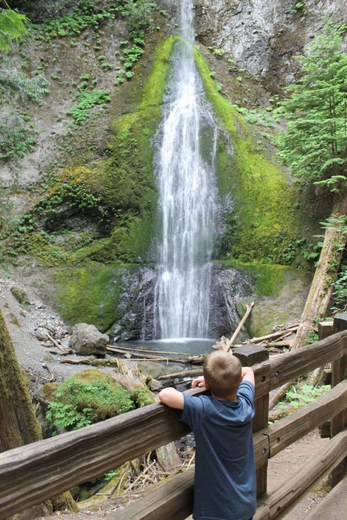 Marymere Falls, easy hikes in Washington state