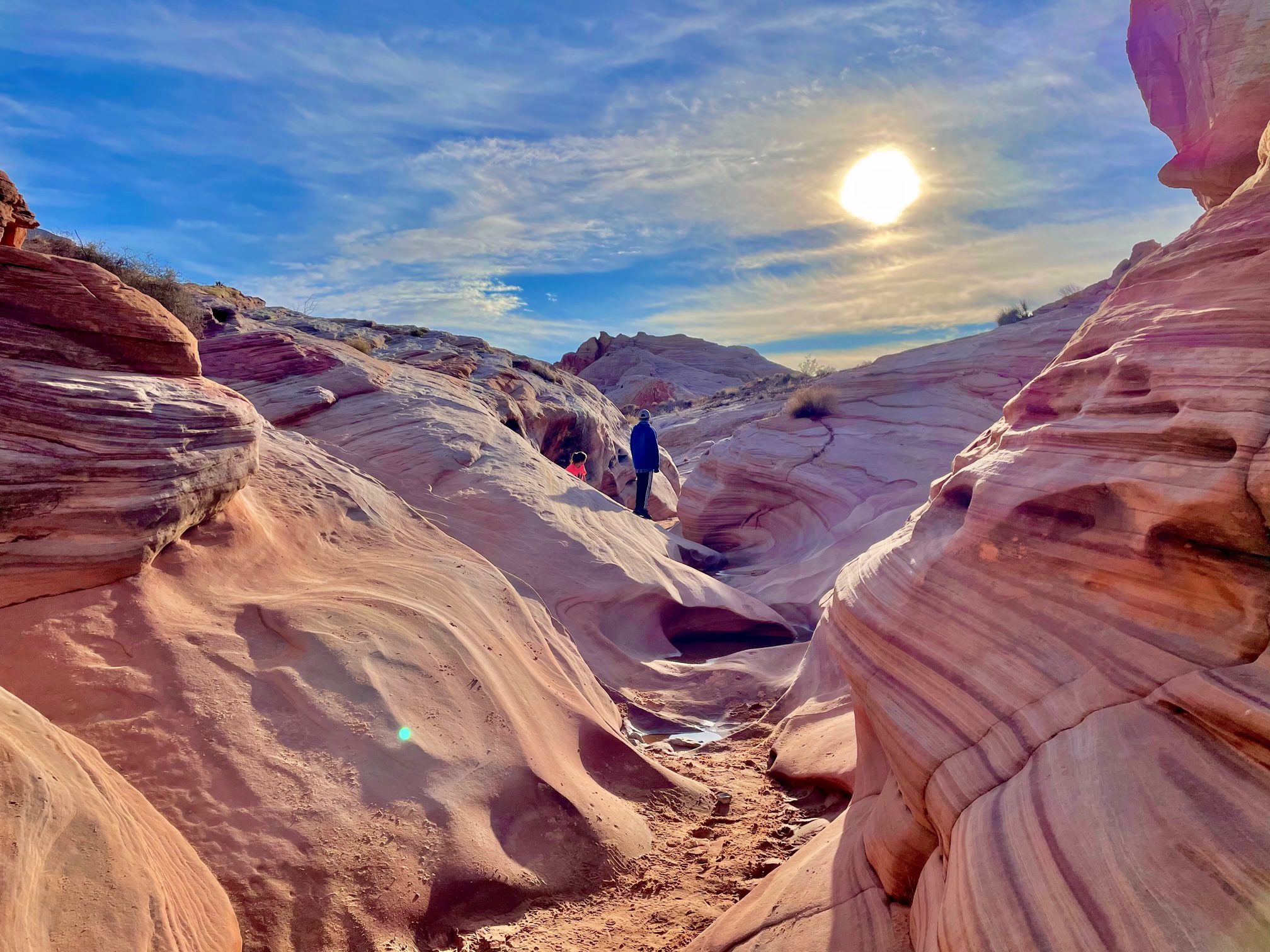 The 6 Best Hikes In Red Rock Canyon Las Vegas - The Wandering Queen