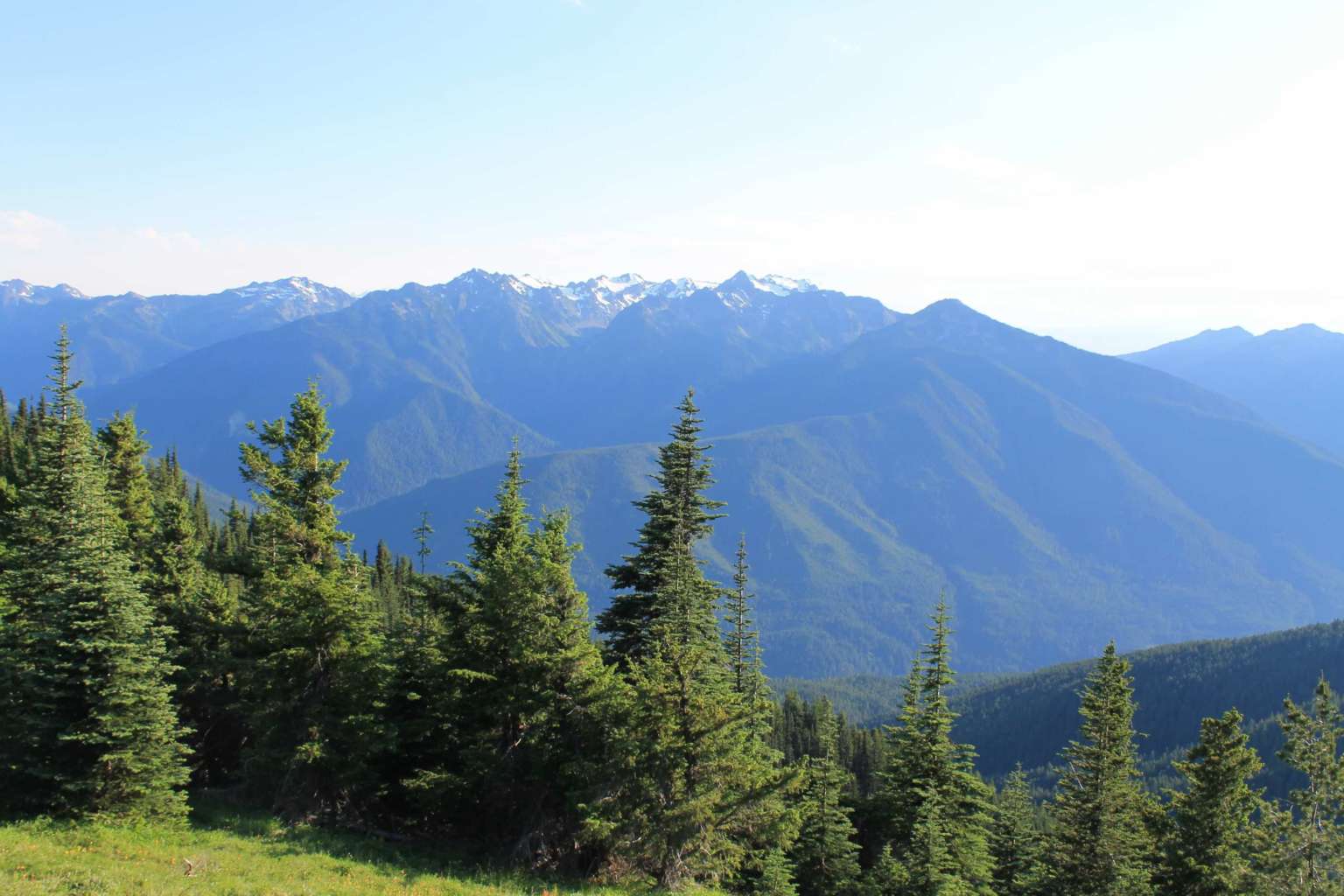 How to Spend 3 Days in Olympic National Park Itinerary - Krystal ...