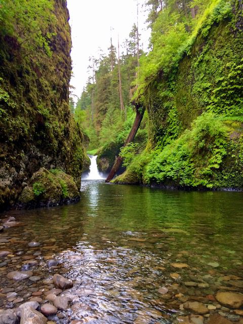 Punch Bowl Falls is one of the best waterfalls in Oregon