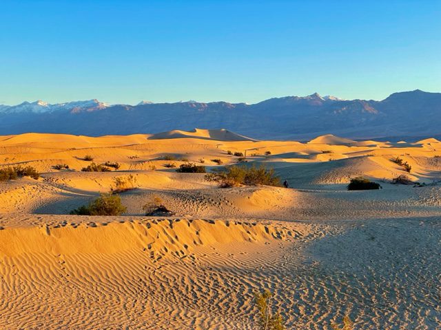 Mesquite Flat Sand Dune Death Valley Itinerary
