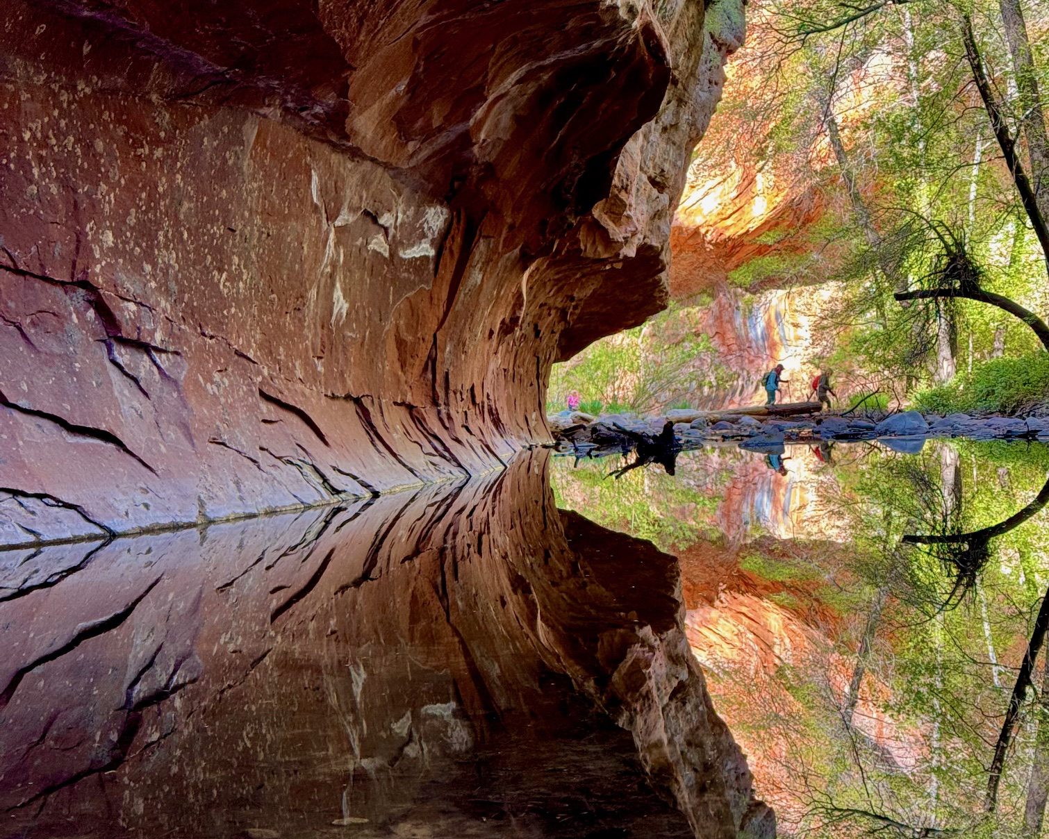 7 Easy Hikes in Sedona That Are Scenic and Seriously Stunning