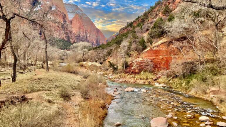 The 7 Best Easy Hikes in Zion National Park