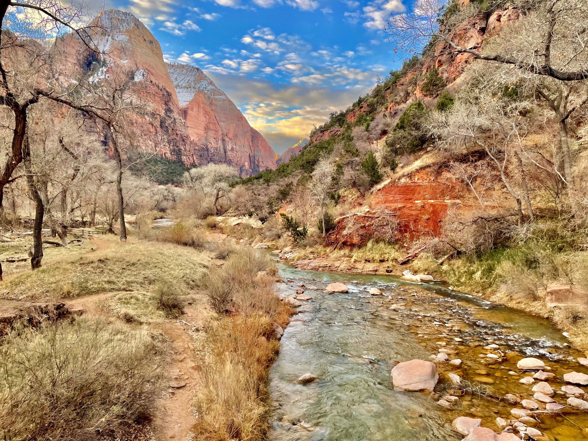 The 7 Best Easy Hikes in Zion National Park