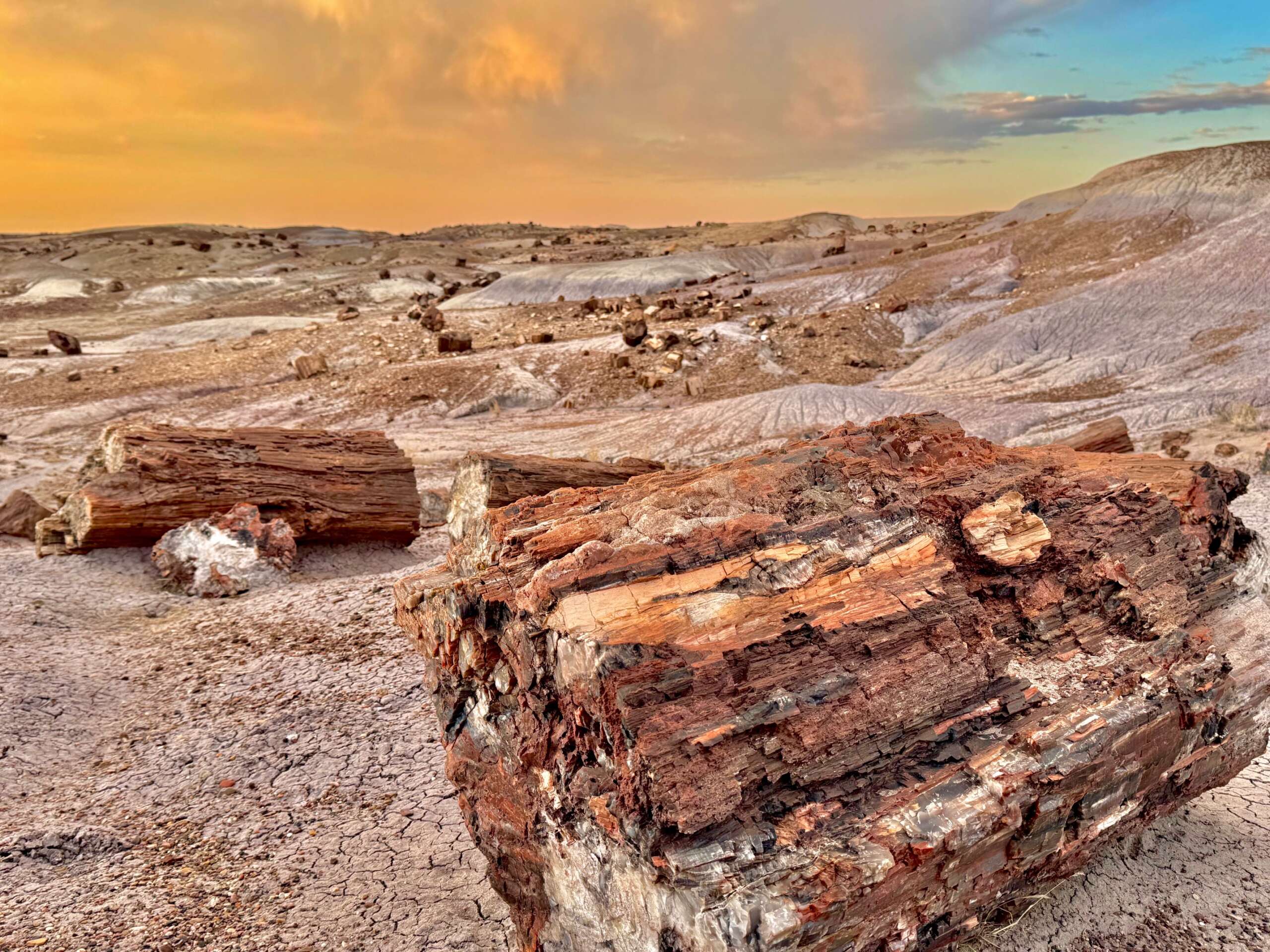 The Best Things to Do in Petrified Forest National Park