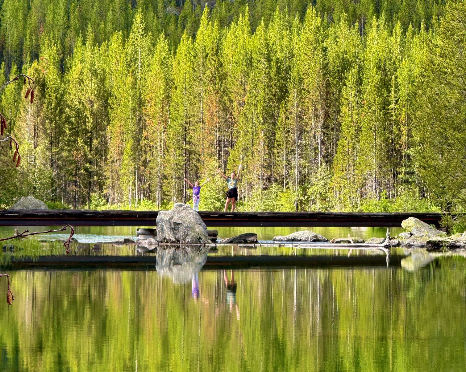 The Best Hikes in Grand Teton National Park for Families